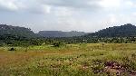 1467696282_2Ranthambore 3.JPG